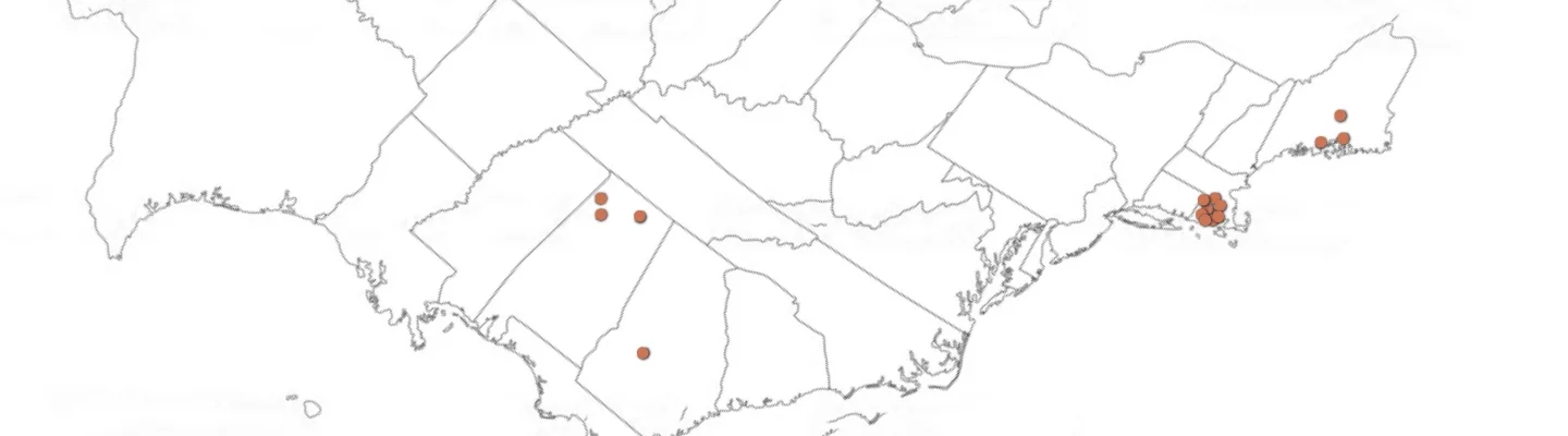 map.webp